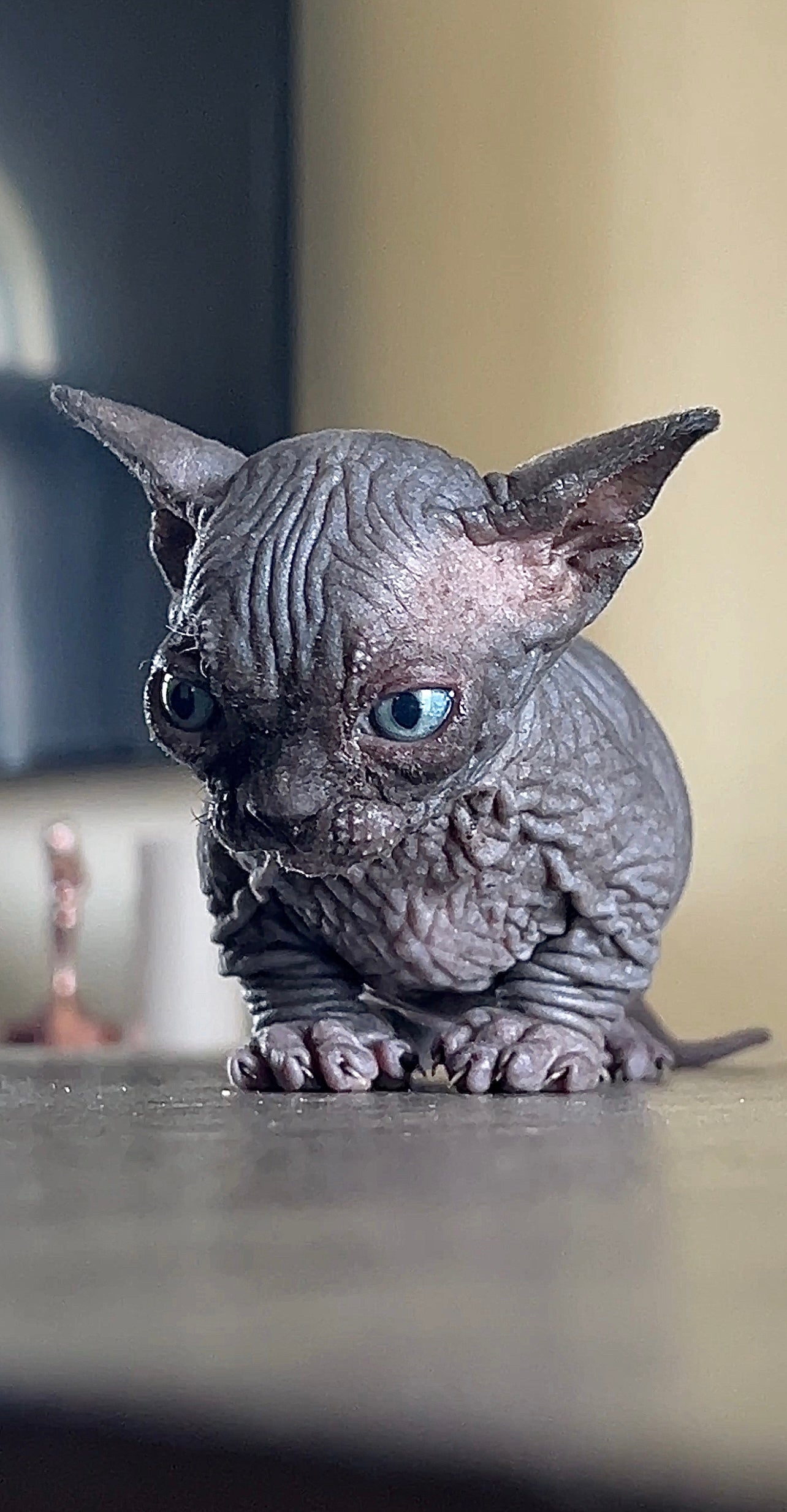 KITTEN WAITLIST